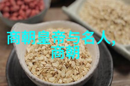 历史的回响剖析南宋与北宋资料的异同