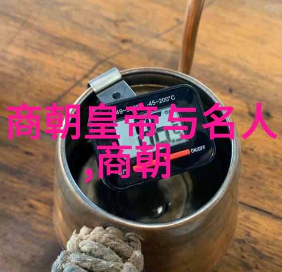 一个帝国的更迭探索光绪之前那个伟大的名字