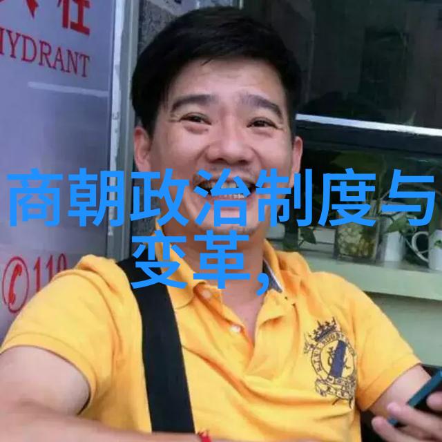 红楼梦中的丑奴儿一个深藏的故事线索