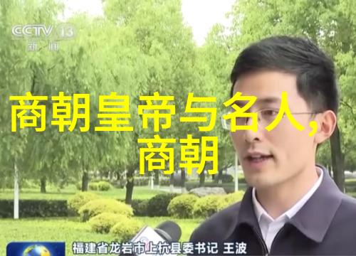 清朝皇帝历史排名清朝历代皇帝权力与影响力的排行