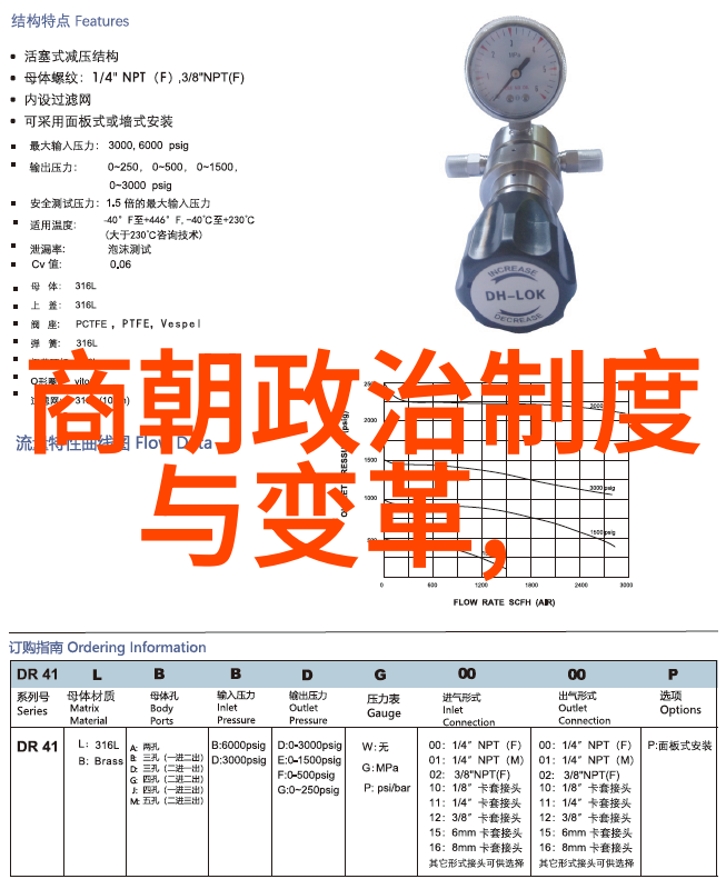 介绍影视艺术形式的ppt-探索银幕之美影视艺术形式的多维介绍