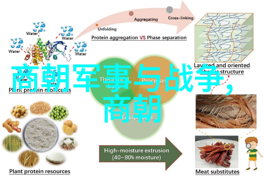 元朝疆域辽阔从忽必烈到分裂的版图演变