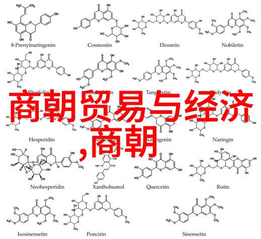 朱允炆建文帝中国朝代顺序表大全在社会中的重要性