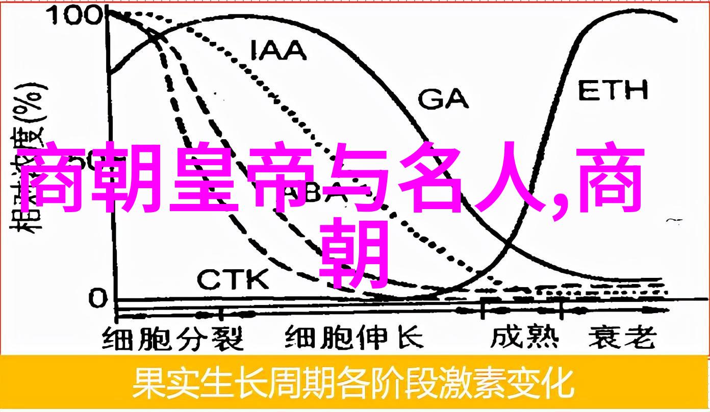 中国伟大历史人物故事-唐玄宗与安史之乱一代天子沉浮人间