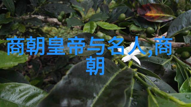 天下英雄录揭秘古代中国官职阶层