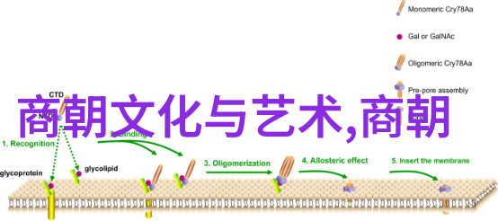 民间故事奇闻异事素材-寻踪古今传说中的神秘事件与超自然现象