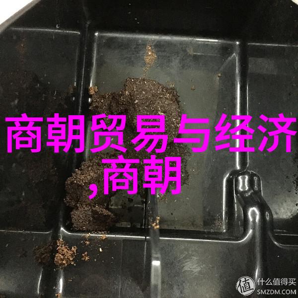 明朝那些事3龙凤呈祥的科举梦