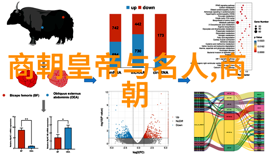 明朝帝王年号顺序表-龙腾四海详解明朝历代帝王的年号变迁