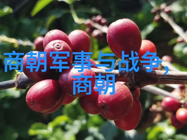 原始战记古老部落的火与刃