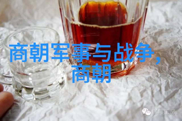 从秦始皇到清高宗中国历史上的帝王篇章