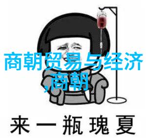 宋代风华科技艺术与政治的交响篇