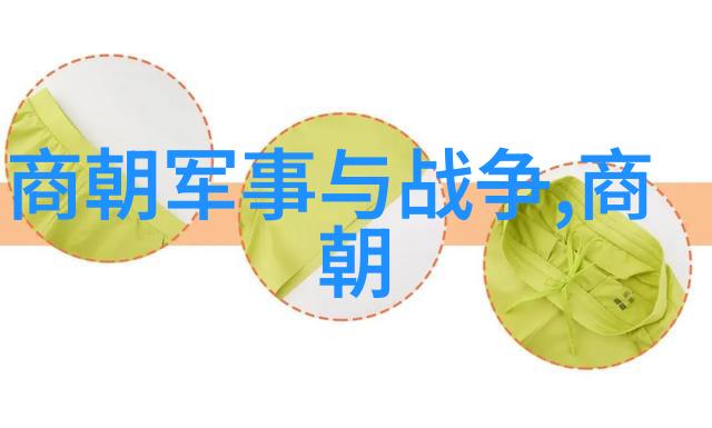 元朝政治制度与变革忽必烈至大德年间的宪政改革探究