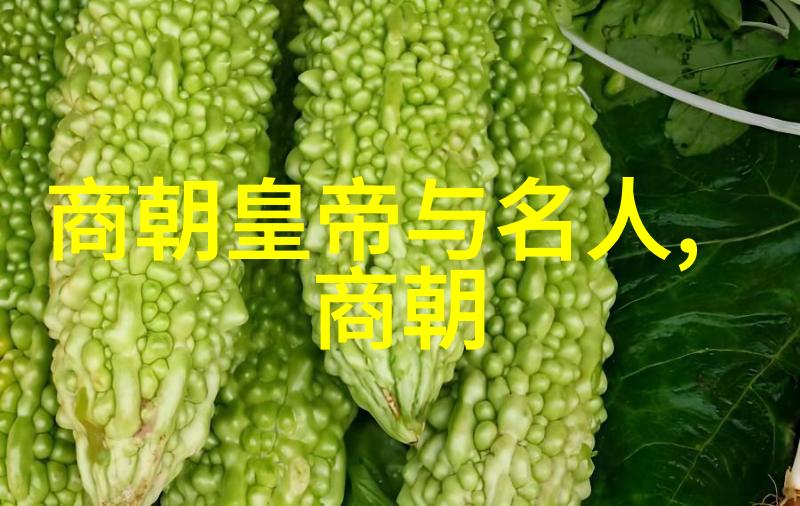 明朝第二个是谁毛文龙算不算真英雄呢(图)