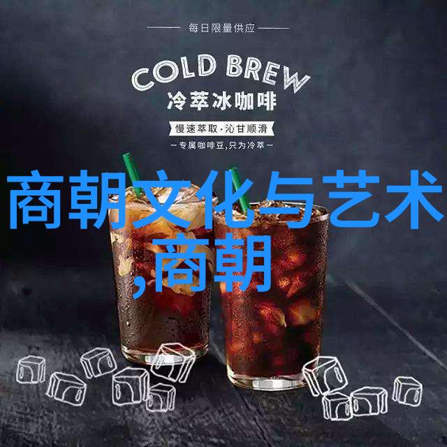 铁血的征途元朝的外来王权与内在辉煌