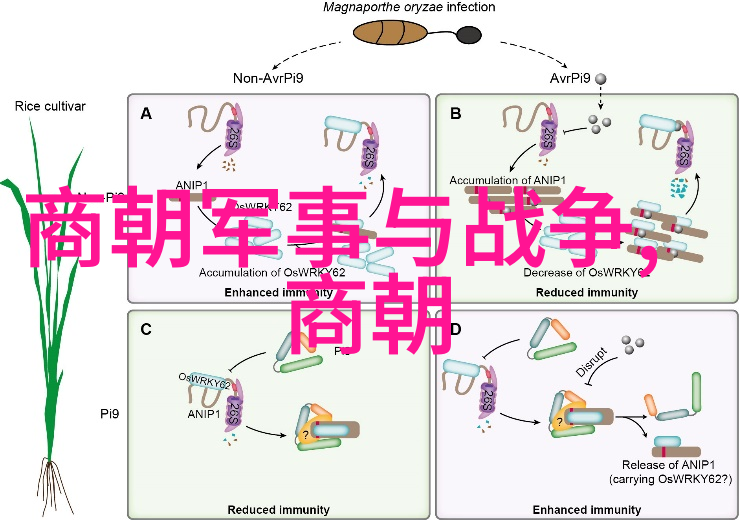 清朝第一位皇帝我是努尔哈赤满族的开国之父