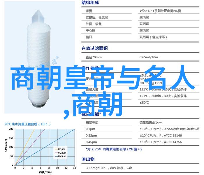 体验皇家生活中的荣耀与悲剧