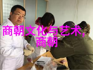 北宋灭亡之谜历史的断裂与时代的转折