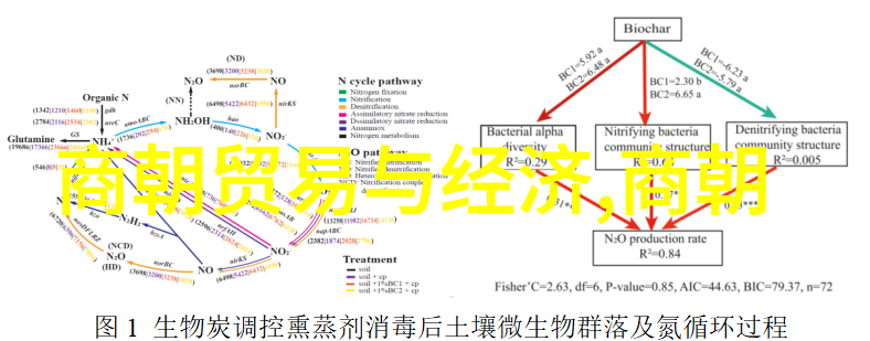 你知道吗艺术表现形式从画布到舞台的万花筒