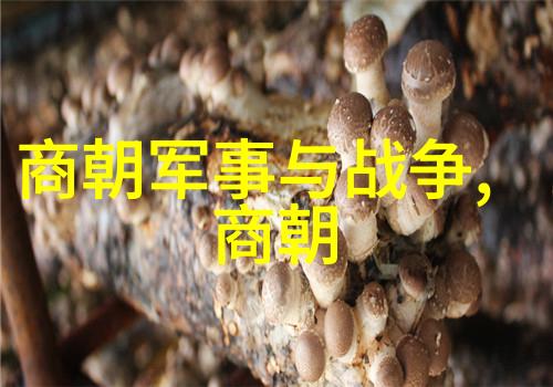 宋朝的辉煌文化经济与政治的腾飞