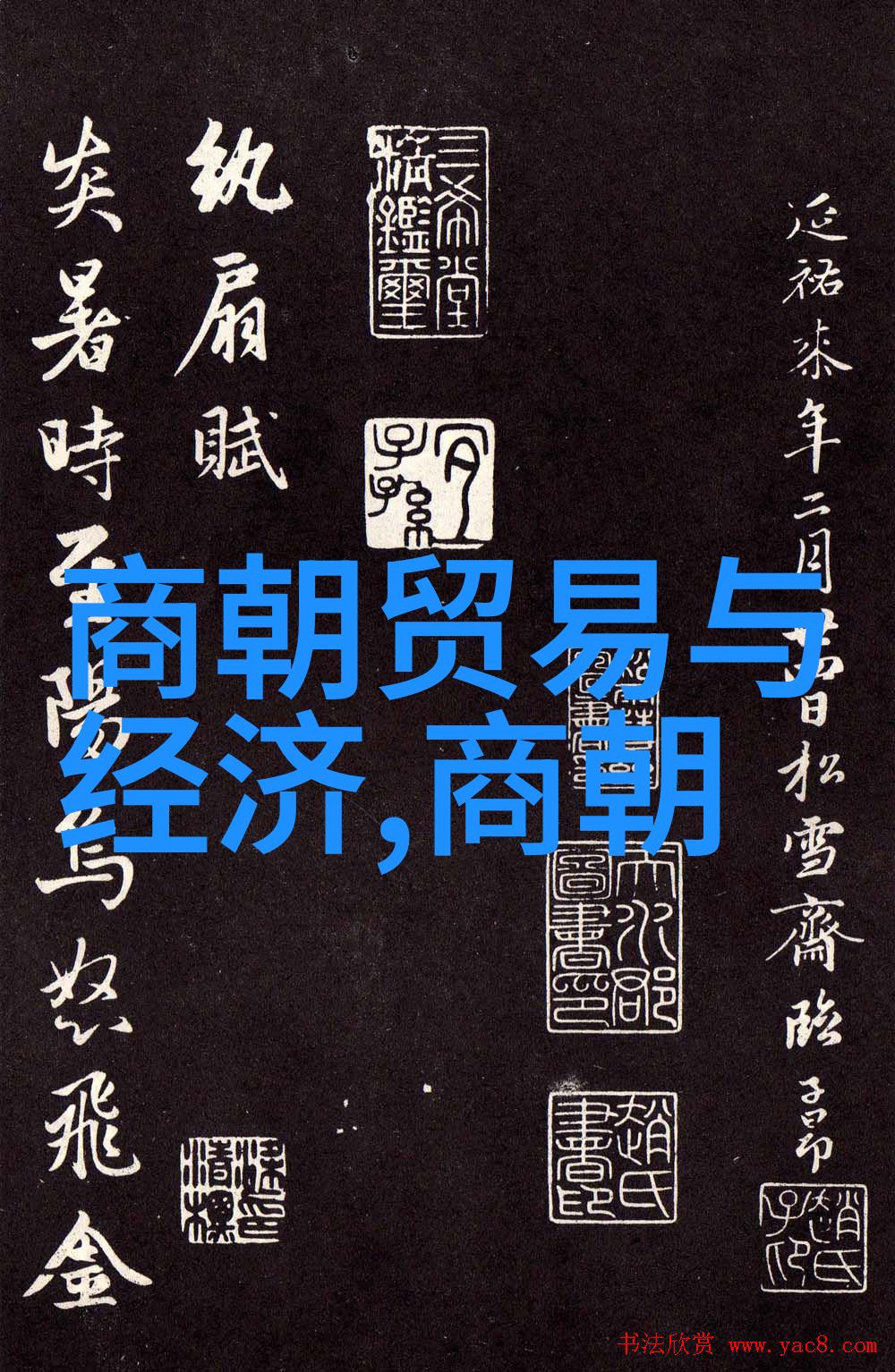 关于武则天的历史故事我是如何了解到武则天这个女皇帝的