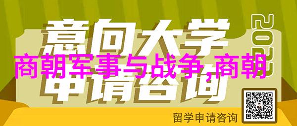 辽阔的岁月探索元朝的光芒与风云