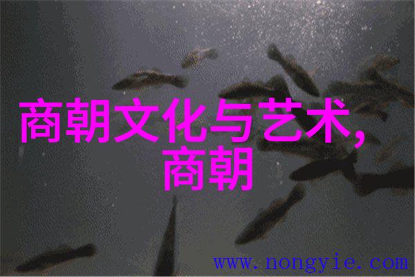 中国之星背后的秘密与未解之谜