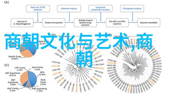 辽国之光元朝的东北传奇