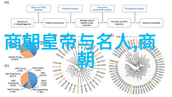 宋国历史的源起与发展是什么