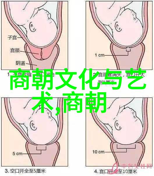 红尘漫步张邱密与河南坠子回龙传的传奇