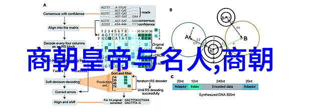 麻豆精品一卡二卡三卡全套服务体验总结