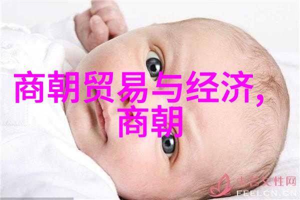 郭沫若的革命生涯从文学到政治的转变