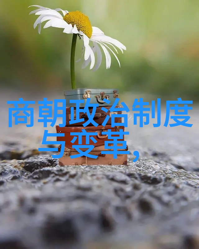 英雄的征途无畏与光芒