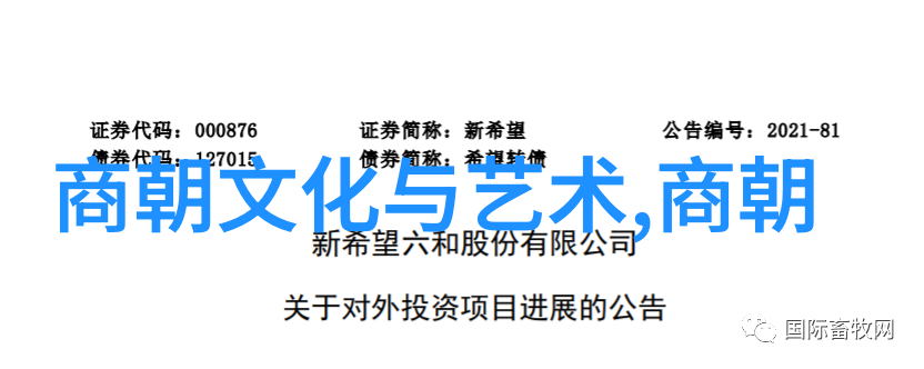 南宋和北宋怎么分聊聊我爸妈那辈的故事