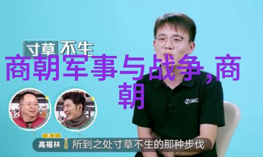 康熙帝如何确保了大清朝长期的稳定与发展