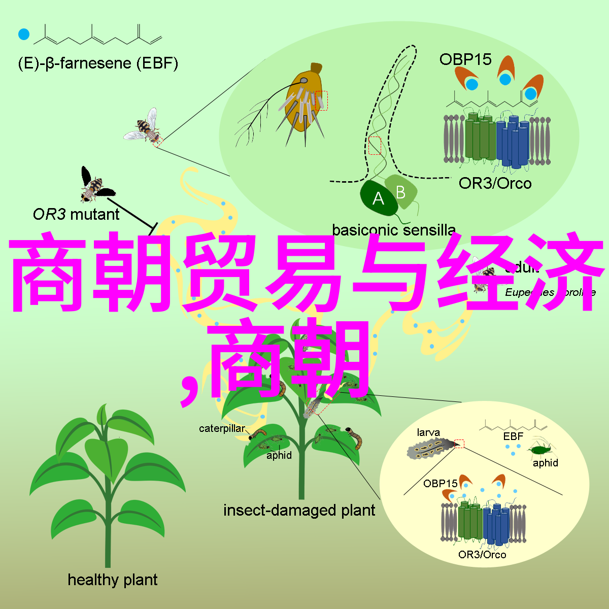 从顺治帝到光绪帝清朝的皇帝们又有哪些名字