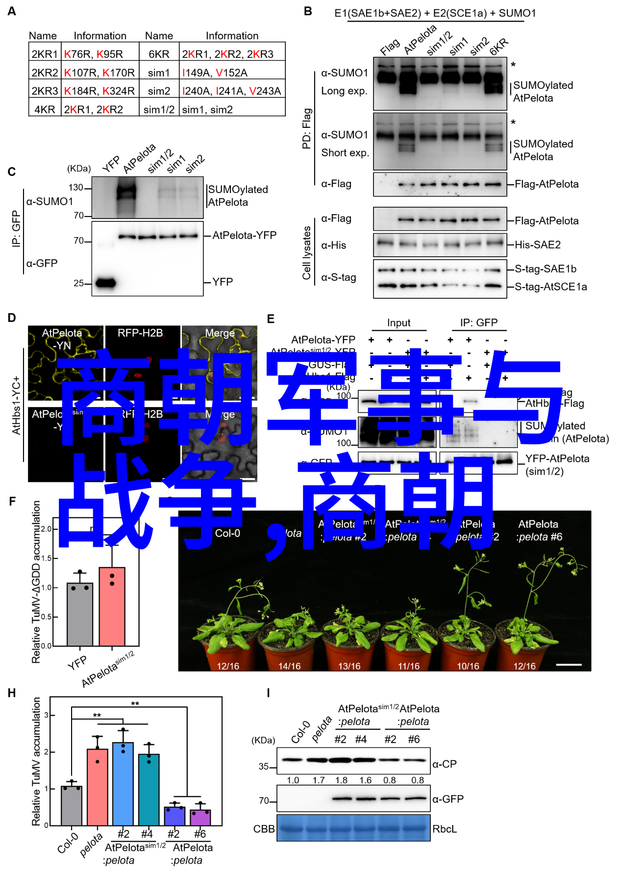 东周朝代史简明综述