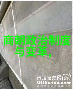 司马迁我是如何成为历史的守护者司马迁的故事