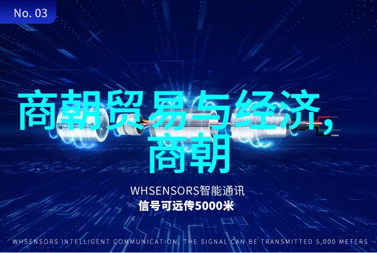 隋朝建立者-从杨坚到隋文帝揭秘隋朝的奠基人