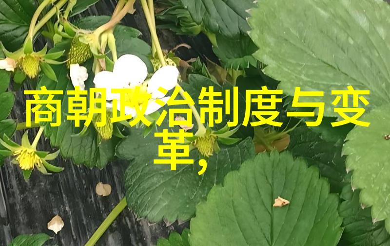 从辽东到紫禁城努尔哈赤统一蒙古的故事