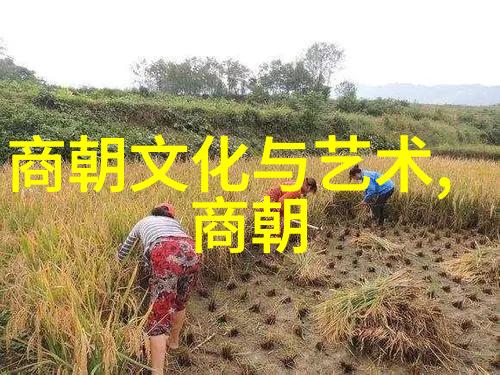 营造健康生活方式中国学校体育活动的推广