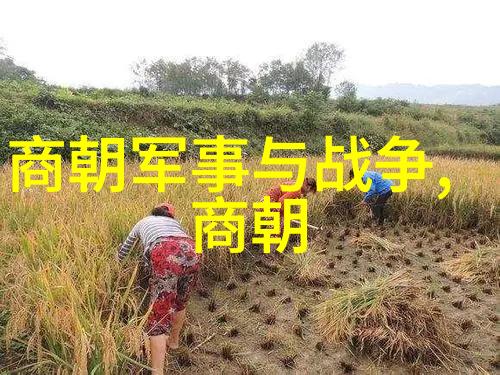 明朝灭亡原因深刻政治腐败经济衰退天灾人祸