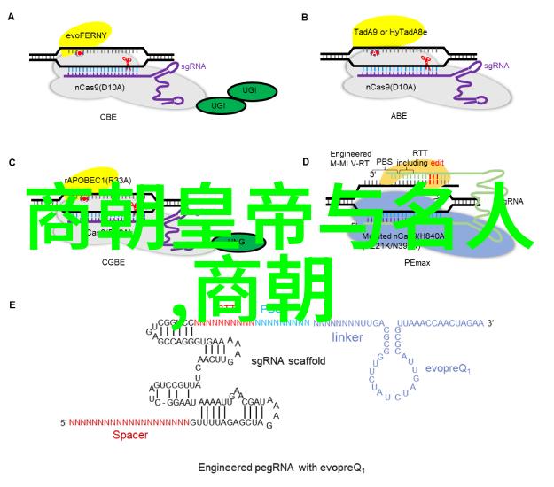 南北朝时期的军事战略与装备变迁