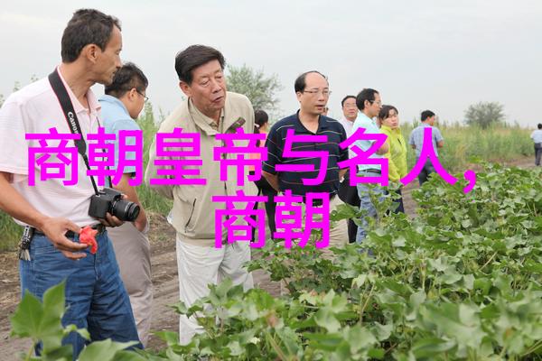 明朝最强三杰龙凤呈祥的江山守护者