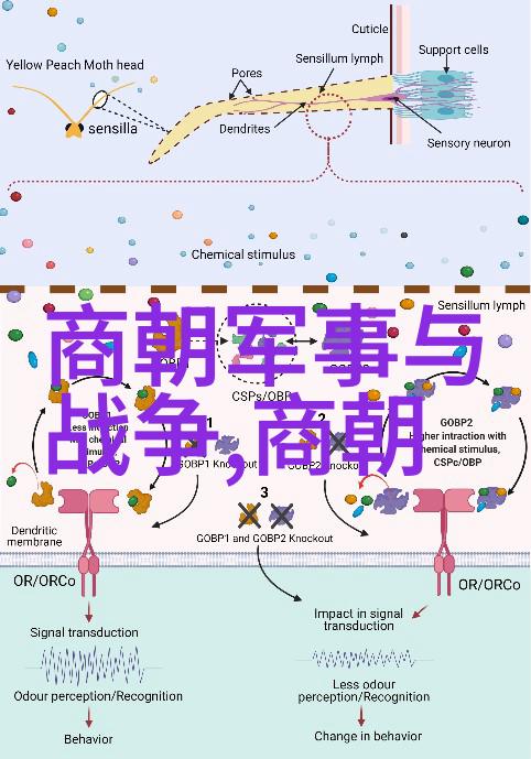 唐代宠儿李隆基与他的爱犬金毛