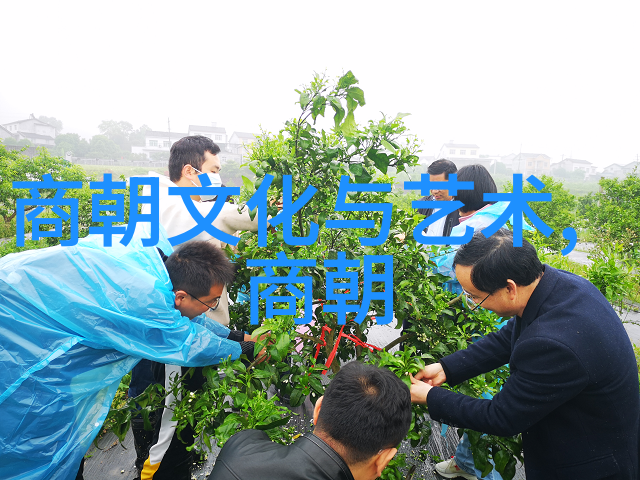 穿越清朝的太监我是乾隆时期的宦官宫廷里的风雨与花香