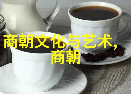 宋朝辉煌从北宋政变到南宋抗金重温历史的沧桑变迁