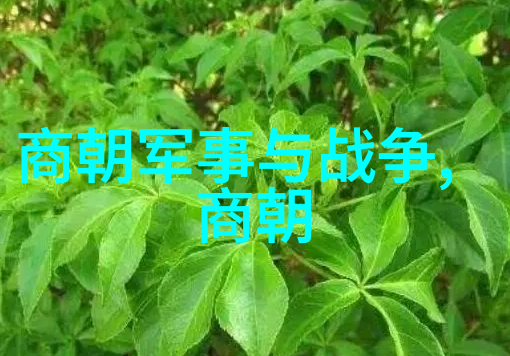 传承之韵中华文化经典故事的诗篇