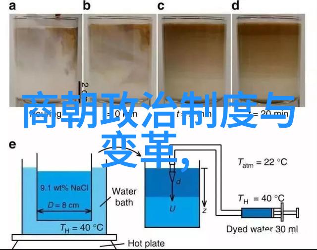 书写文化墨迹里的民族魂