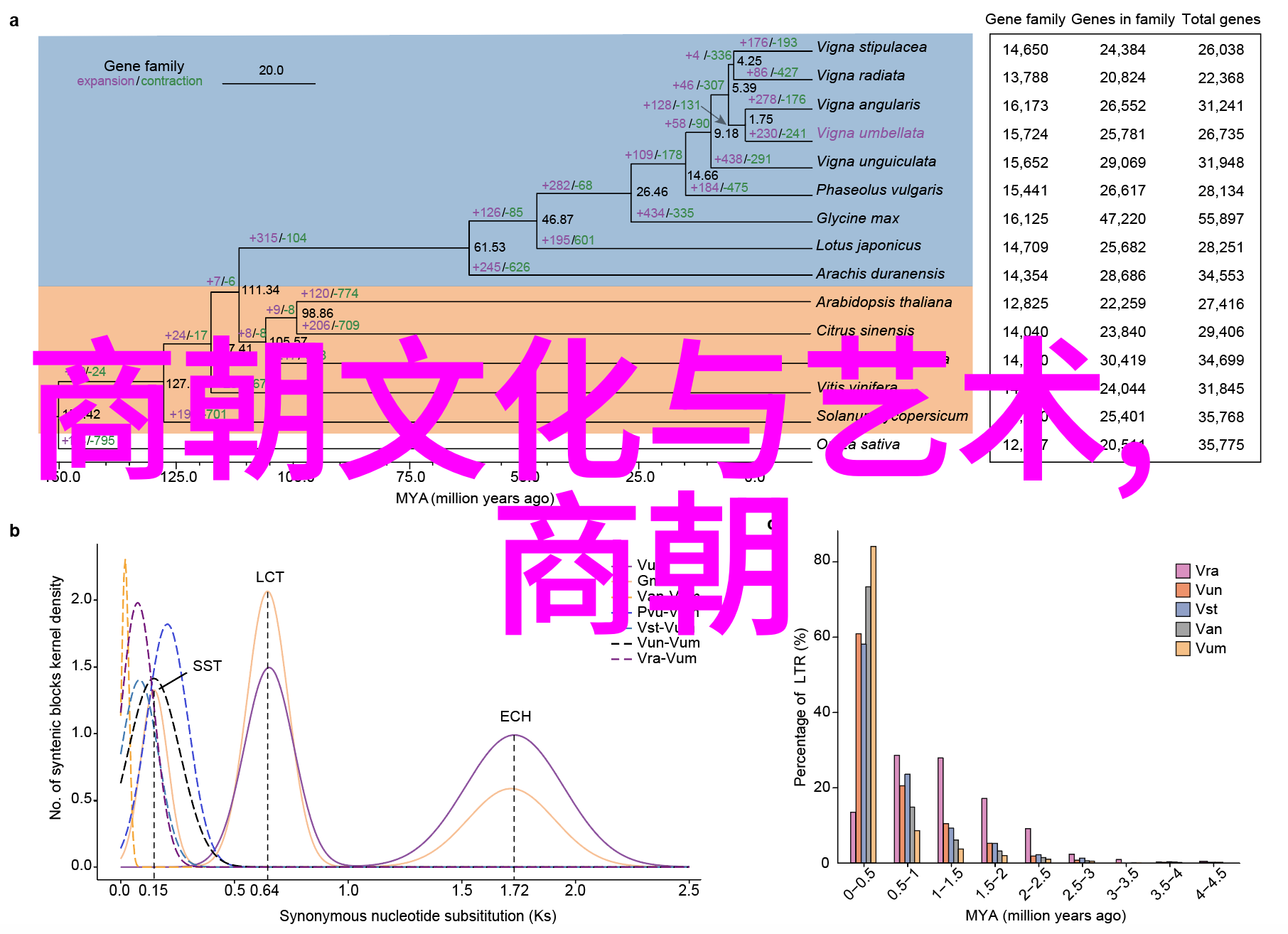 忠诚与背叛研究大臣们如何看待乾隆和雍正在历史上