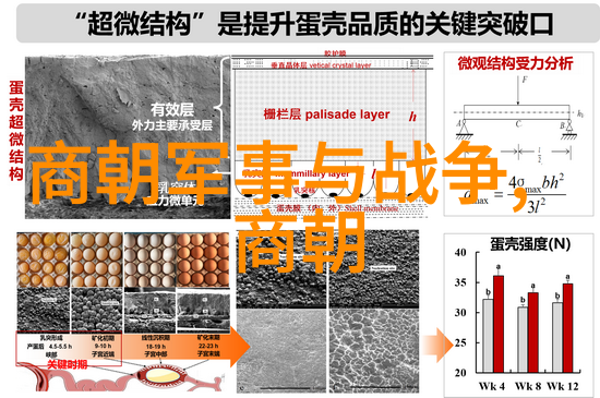 明朝垃圾还是清朝垃圾-历史的双重审视从明末到清初的社会变迁与文化比较